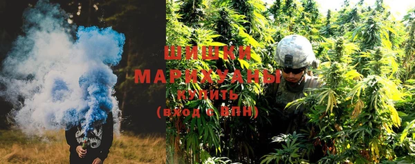 PSILOCYBIN Майский