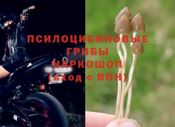 тгк Магадан