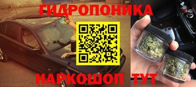 бошки Кимры