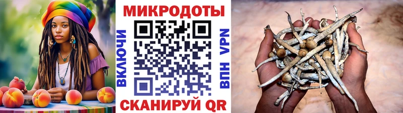 Псилоцибиновые грибы GOLDEN TEACHER  где купить наркоту  Красногорск 