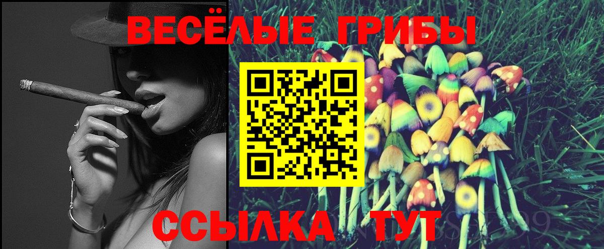 Красногорск  как найти закладки  Вход с VPN  Галлюциногенные грибы ЛСД 